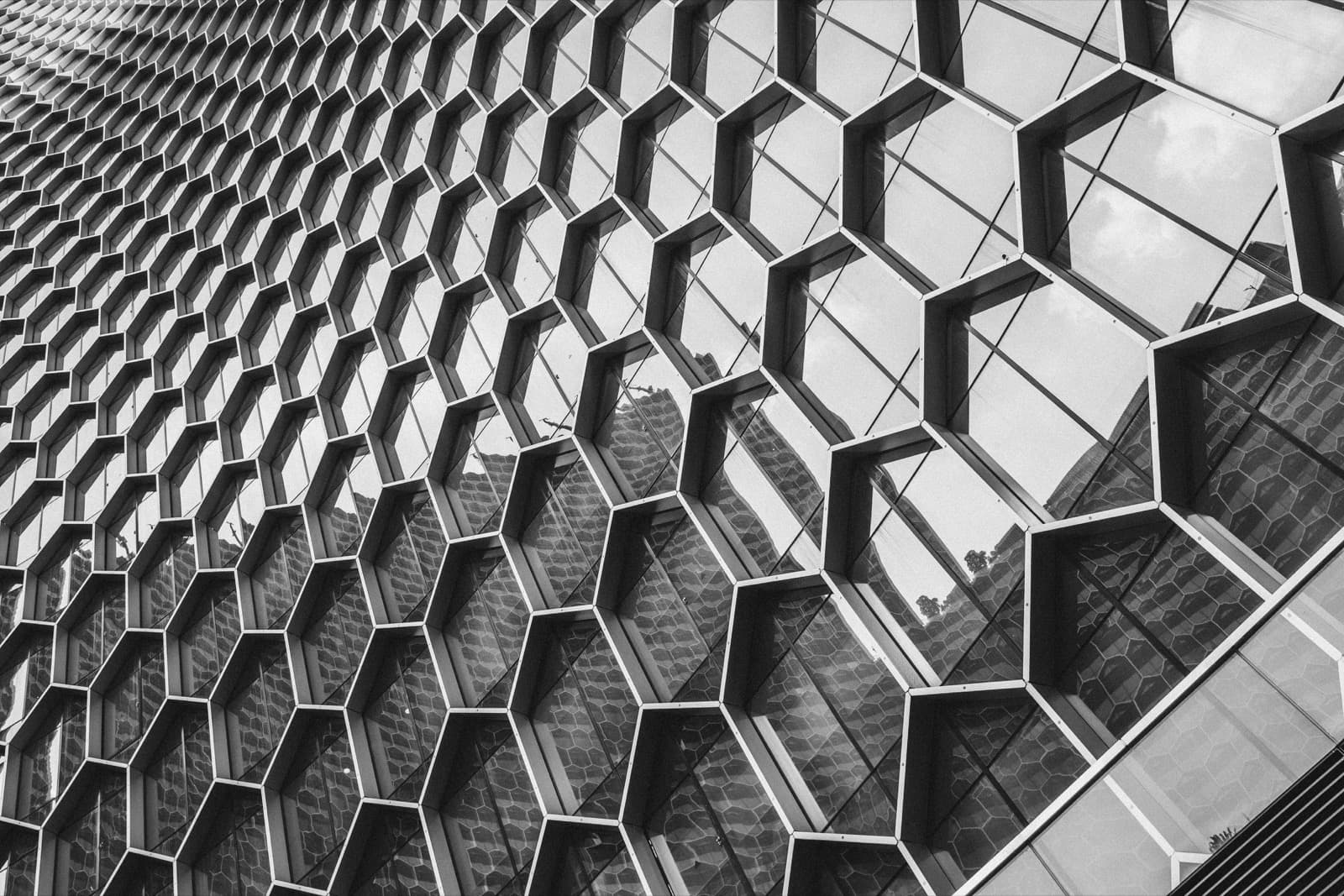 Related-party transactions and transfer pricing structure